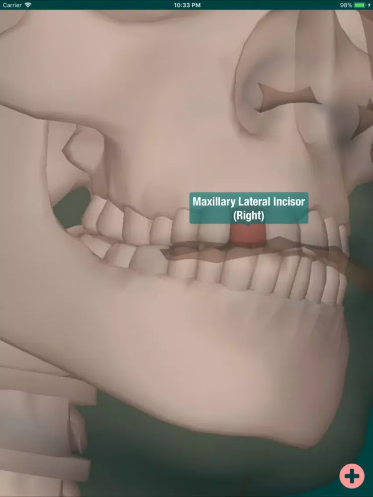 Skeleton Map 3D iPad 應用截圖