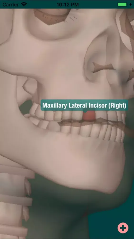 Skeleton Map 3D應用截圖