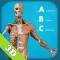 Anatomy Quiz - muscles and bones