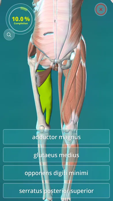 Tangkapan layar Anatomy Quiz - muscles and bones