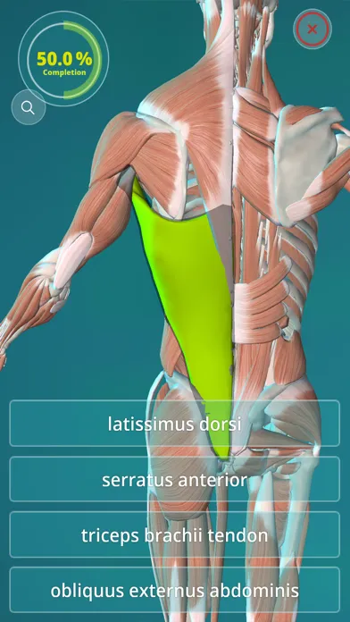 Tangkapan layar Anatomy Quiz - muscles and bones