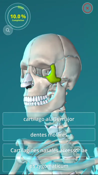 Tangkapan layar Anatomy Quiz - muscles and bones