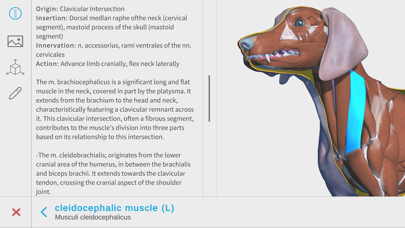 Complete Canine Anatomy 3D 스크린샷