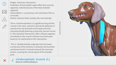 Capturas de pantalla de Complete Canine Anatomy 3D