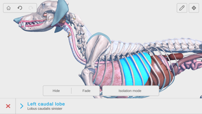 Complete Canine Anatomy 3D 스크린샷