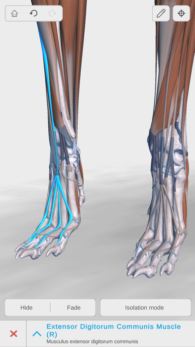 Complete Canine Anatomy 3D 스크린샷