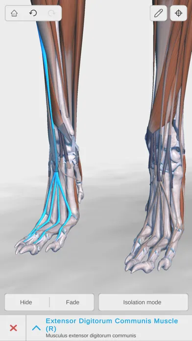 Capturas de pantalla de Complete Canine Anatomy 3D