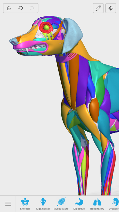 Complete Canine Anatomy 3D 스크린샷