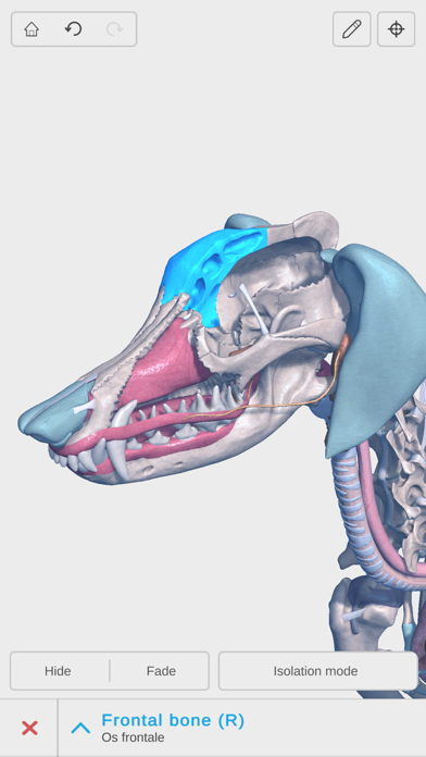 Complete Canine Anatomy 3D 스크린샷