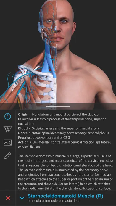 Ảnh chụp màn hình của Visual Anatomy 3D - Human Body