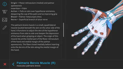 Ảnh chụp màn hình của Visual Anatomy 3D - Human Body