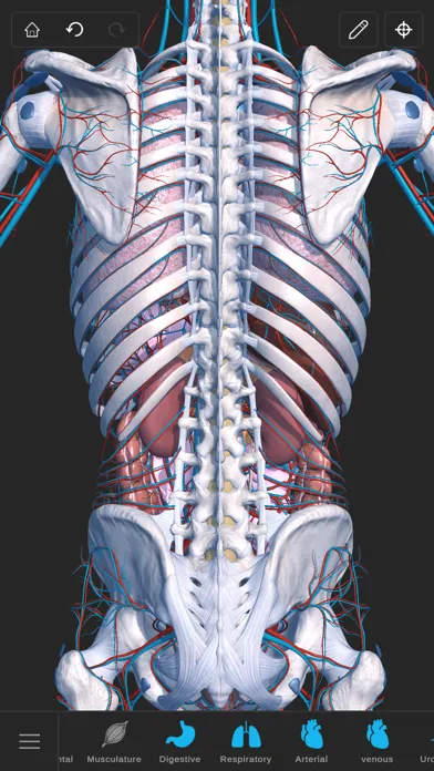 Ảnh chụp màn hình của Visual Anatomy 3D - Human Body