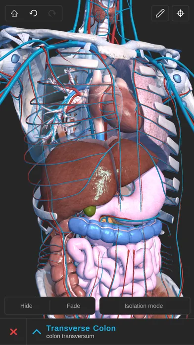 Ảnh chụp màn hình của Visual Anatomy 3D - Human Body