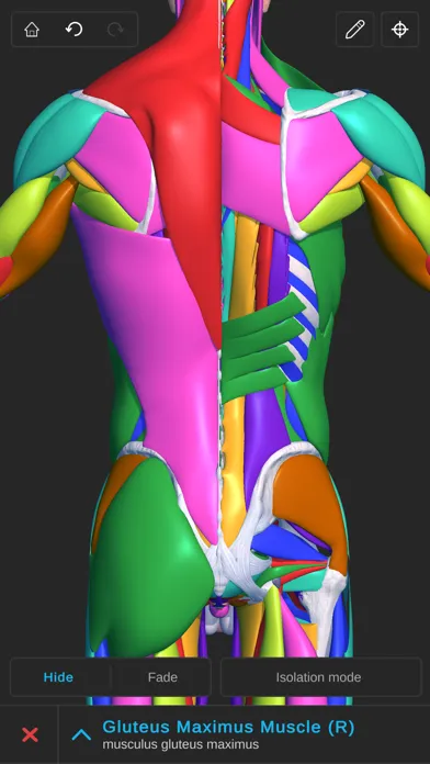 Ảnh chụp màn hình của Visual Anatomy 3D - Human Body