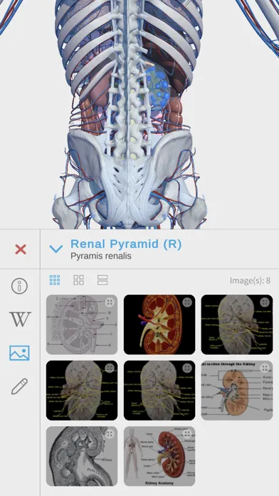 Ảnh chụp màn hình của Visual Anatomy 3D - Human Body