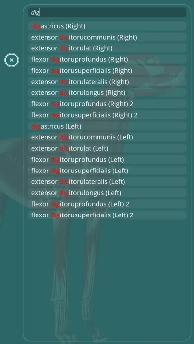 تصاویر Visual Anatomy - Canine