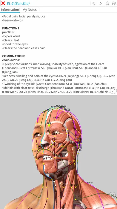 Visual Acupuncture 3D Ekran Görüntüleri