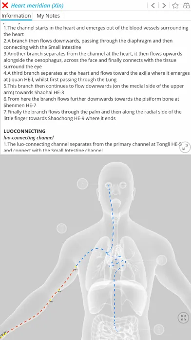 Visual Acupuncture 3D Ekran Görüntüleri
