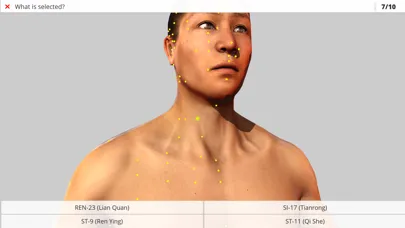 Visual Acupuncture 3D Ekran Görüntüleri