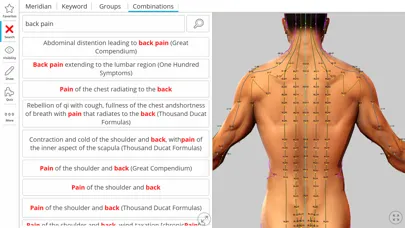 Visual Acupuncture 3D Ekran Görüntüleri