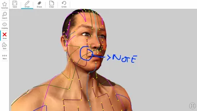 Visual Acupuncture 3D Ekran Görüntüleri