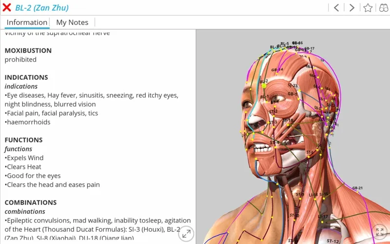 Visual Acupuncture 3D应用截图
