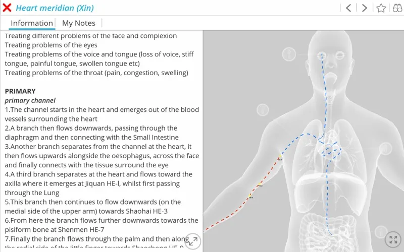 Visual Acupuncture 3D应用截图