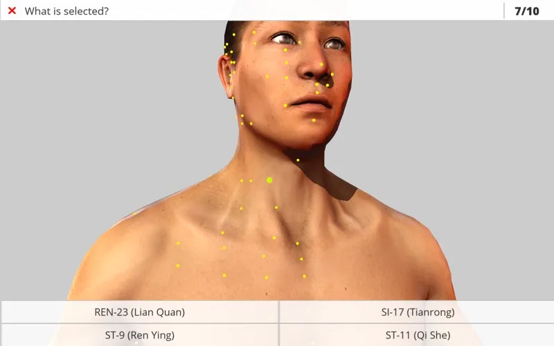 Visual Acupuncture 3D应用截图