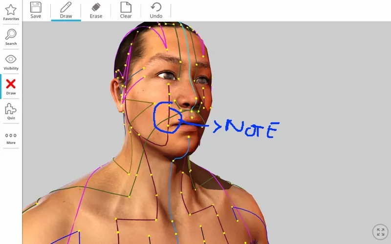 Visual Acupuncture 3D应用截图