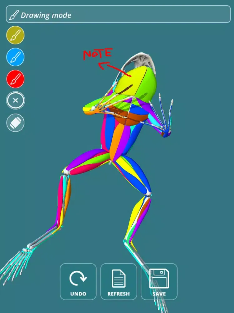 Captures d'écran de Visual Anatomy - Frog iPad 