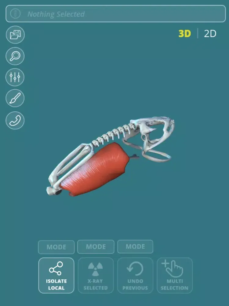 Captures d'écran de Visual Anatomy - Frog iPad 