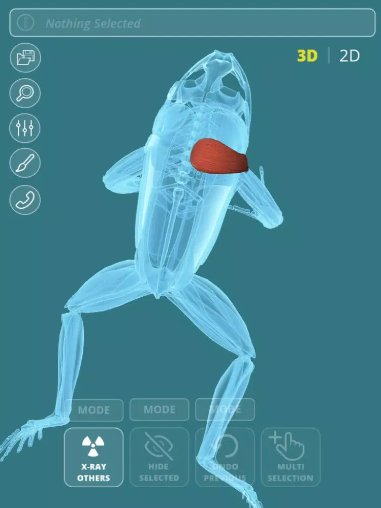 Captures d'écran de Visual Anatomy - Frog iPad 