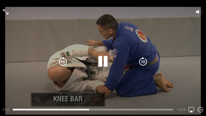 Ảnh chụp màn hình của BJJ Roadmap
