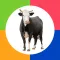 Preschool Games - Farm Animals by Photo Touch