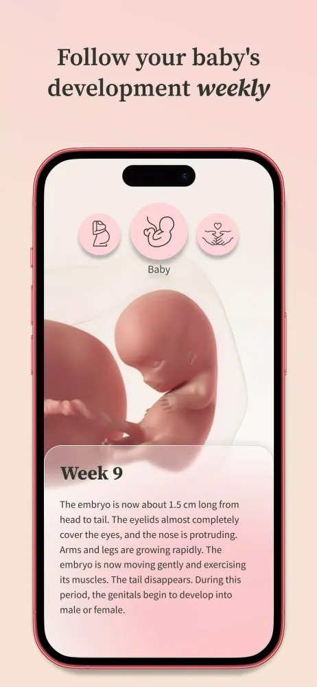 Preglife スクリーンショット