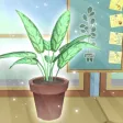 Houseplant 2021