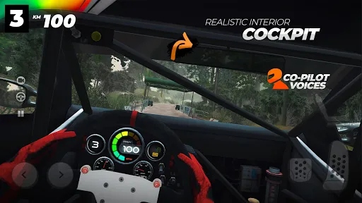 Real Rally Drift & Rally Race سکرین شاٹس