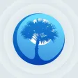 Palmetto Sports Palmetto Sports
