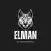 ELMAN CORRECT SCORES