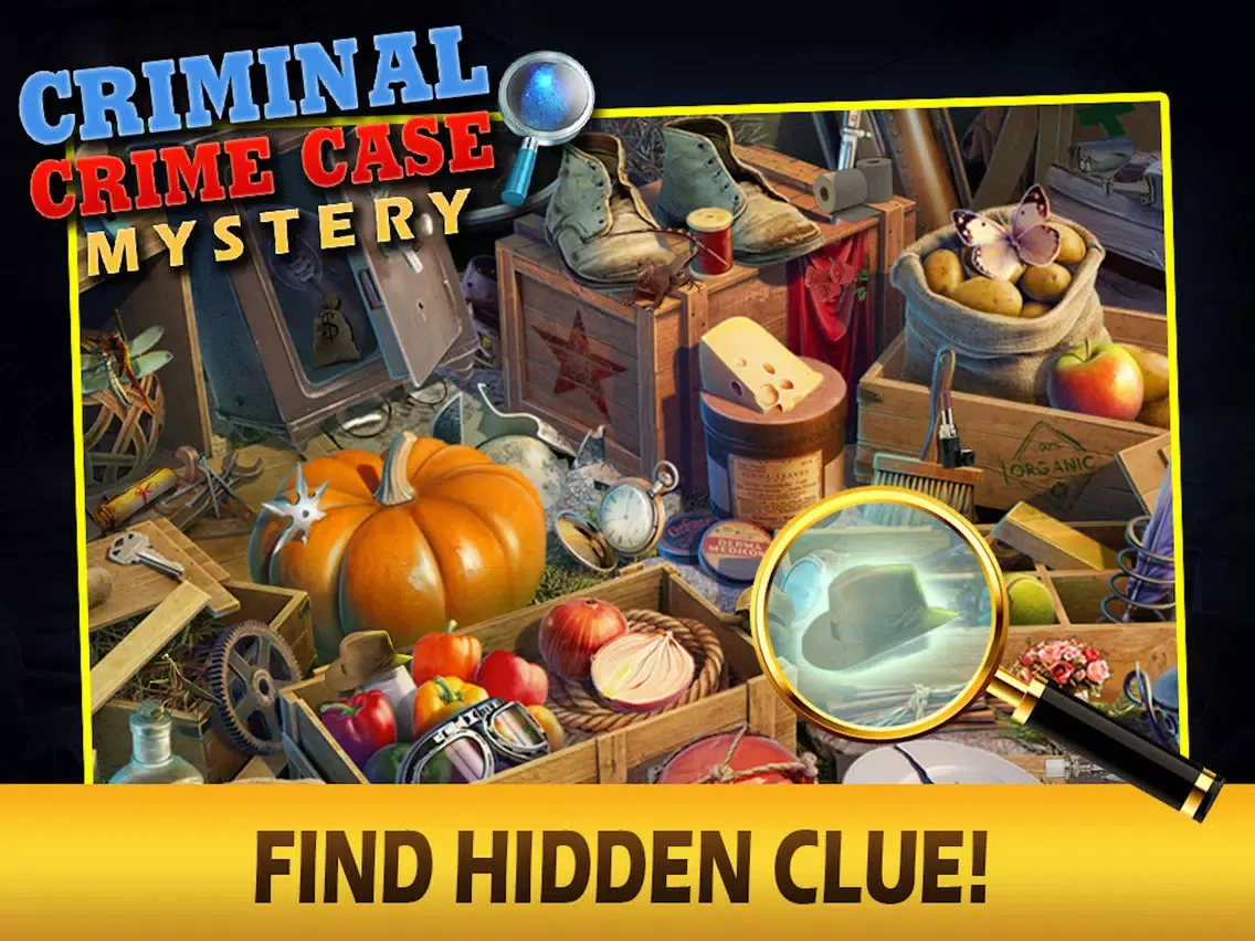 Tangkapan skrin Criminal Crime Case Mystery HD iPad