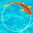 Koi Fish New 3D Game 2019