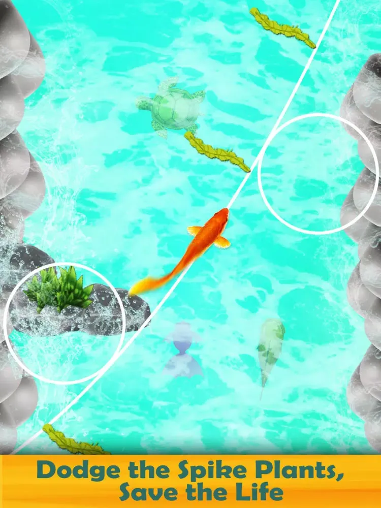 Koi Fish New 3D Game 2019 iPad 应用截图