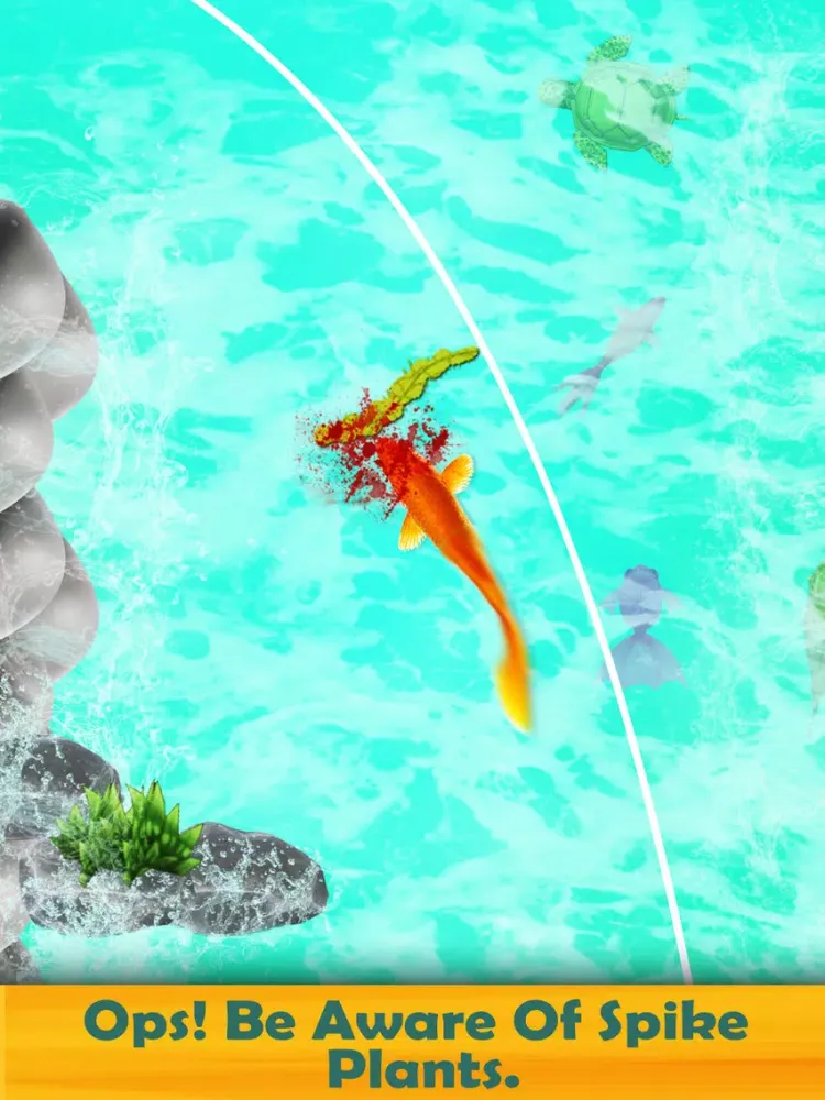 Koi Fish New 3D Game 2019 iPad 应用截图
