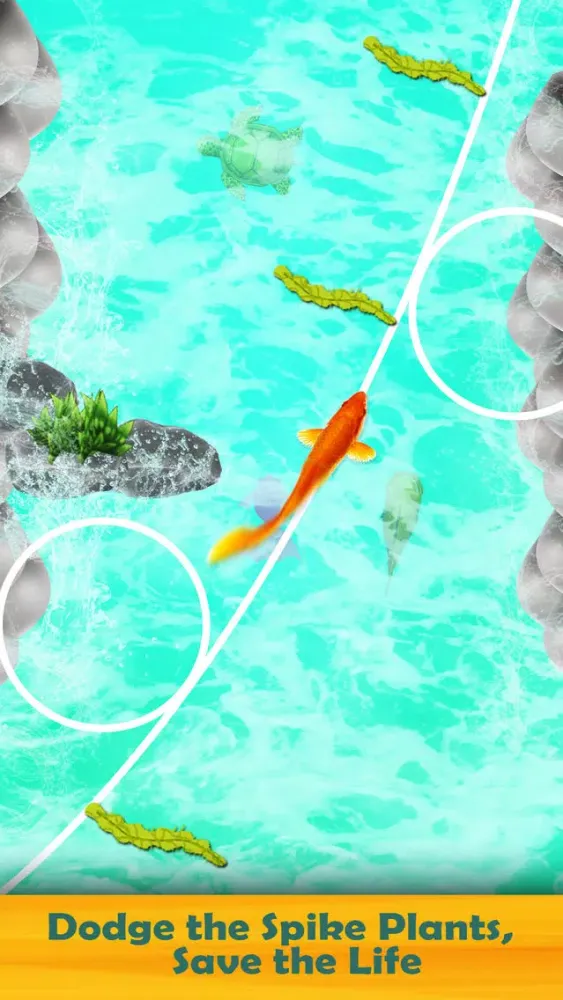Koi Fish New 3D Game 2019应用截图