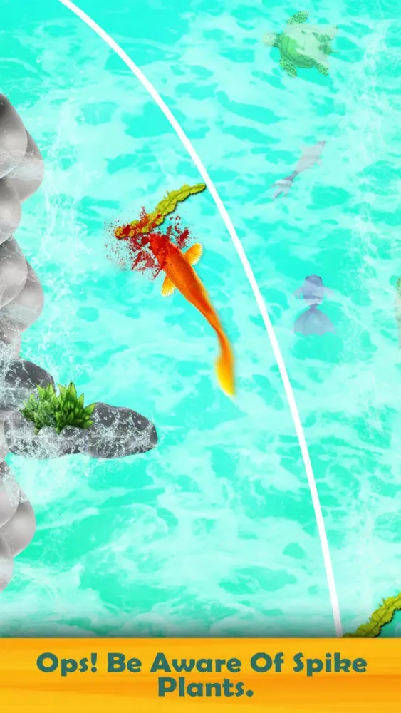 Koi Fish New 3D Game 2019应用截图