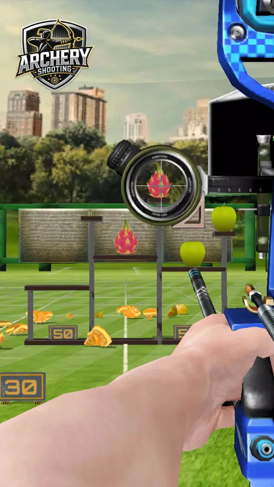 Archery Shooting & Bow Arrow Screenshots