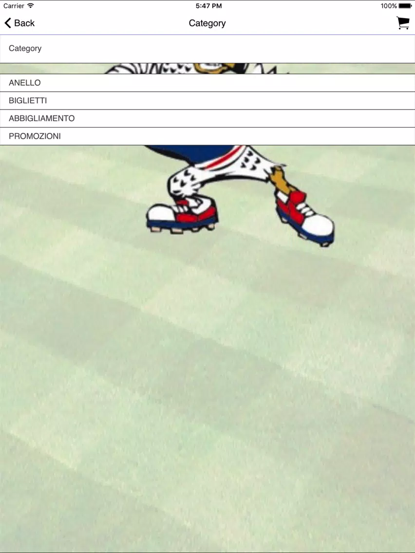 Ảnh chụp màn hình của San Marino Baseball Club iPad 
