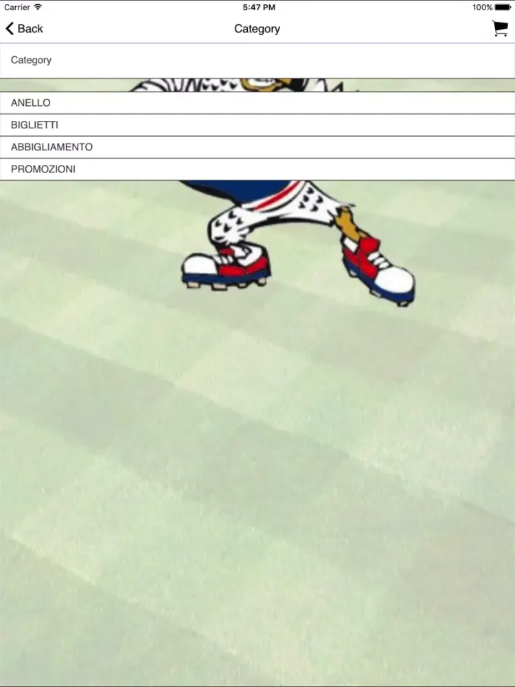 San Marino Baseball Club iPad  스크린샷