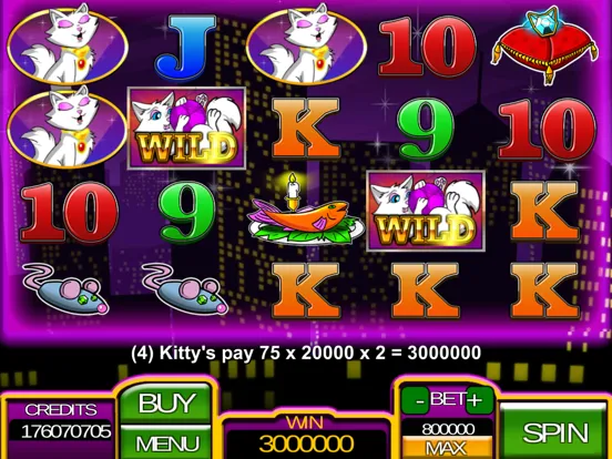 Zrzuty ekranu Kitty Gold Slots iPad 