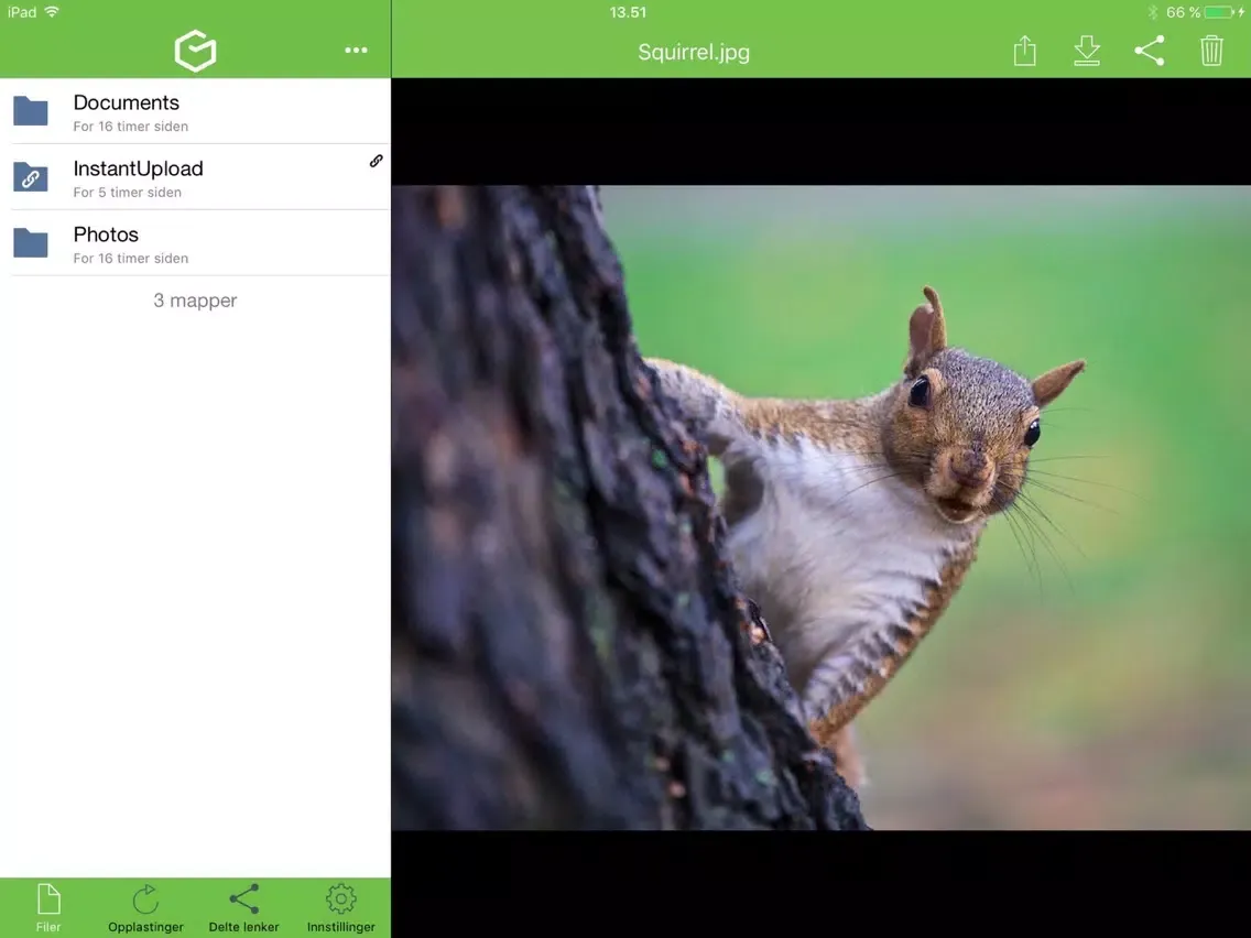 Zrzuty ekranu Green Data Storage iPad 